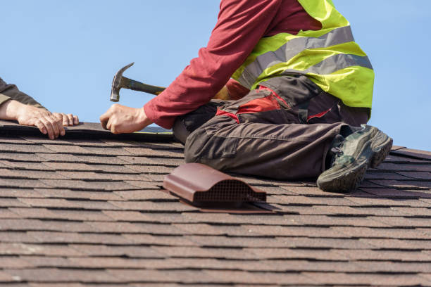 Best Roof Gutter Cleaning  in Vandalia, MO